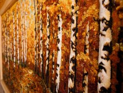 Landscape “Birch Grove”