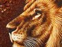 Panel "Lion"