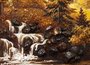 Landscape “Forest Landscape”