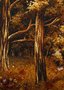Landscape “Sunny Glade”