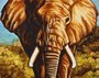 Panel "Elephant"