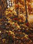 Landscape "Autumn"