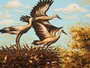 Panel "Stork's Nest"