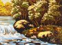 Landscape “Mountain River”