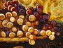 "Figs, Pomegranates, Grapes and a Copper Plate" (George Henry Hall)