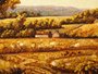 Landscape "Field"