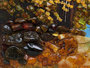 Landscape “Forest Lake”