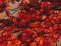 Polyptych “Golden Autumn”