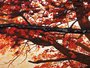 Polyptych “Golden Autumn”