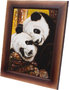 Panel "Pandas"
