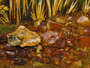 Landscape “Road in the Forest”