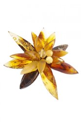 Brooch “Amber Flower” (multi-row)