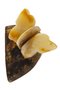 Author's brooch “Butterfly on a stone”