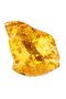 Amber brooch made of translucent amber