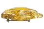 Brooch made of solid light amber