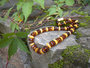 Beads made from amber donut stones “Triumph”