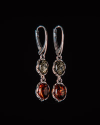 Earrings SS1119-001