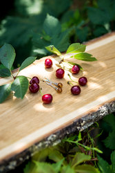 Earrings SS1182-001