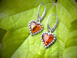 Earrings SS319-001