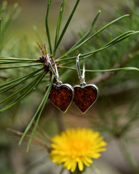 Silver earrings with amber "Hearts"