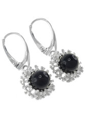 Earrings SS328-001