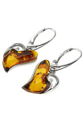 Earrings SS849-001