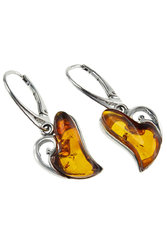 Earrings SS849-001