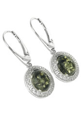 Earrings SS310-001