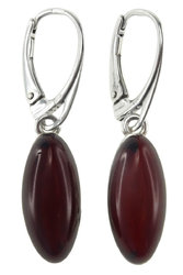 Earrings SS828-001