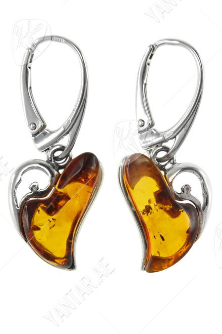 Earrings SS849-001