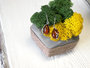 Earrings K470K-M-SS1287-001