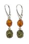 Earrings SS1119-001