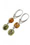 Earrings SS1119-001