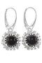 Earrings SS328-001