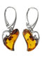 Earrings SS849-001