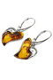 Earrings SS849-001