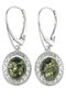 Earrings SS310-001