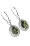 Earrings SS310-001
