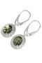 Earrings SS310-001
