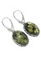 Earrings SS145