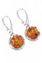 Earrings SS138
