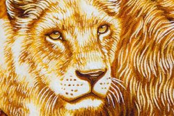 "Lion and Lioness"