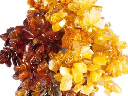 Tree with amber stones