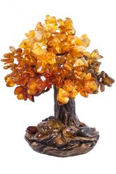 Amber tree