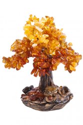 Amber tree