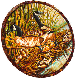 "Wild ducks with ducklings"