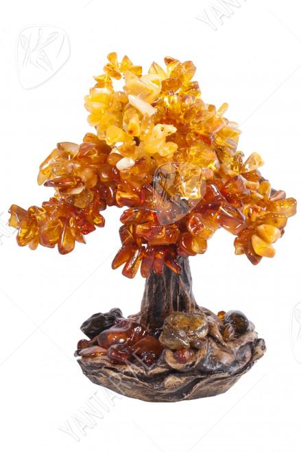 Amber tree