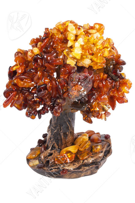 Amber bonsai tree