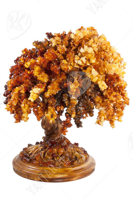 Amber bonsai tree