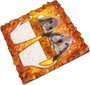 Souvenir magnet “Rabbits”